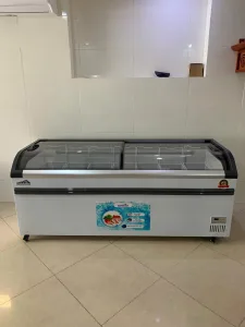 Tủ đông kính cong 1050L