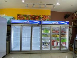 Tủ đông goldcool 1800L cao cấp